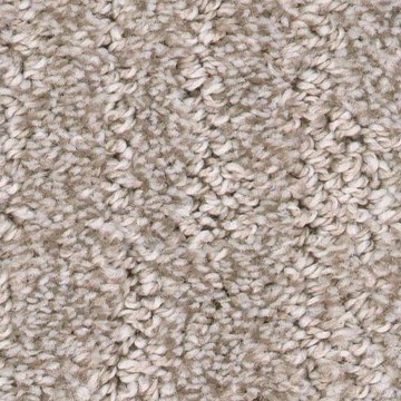 Carpet swatch | Emo Flooring company